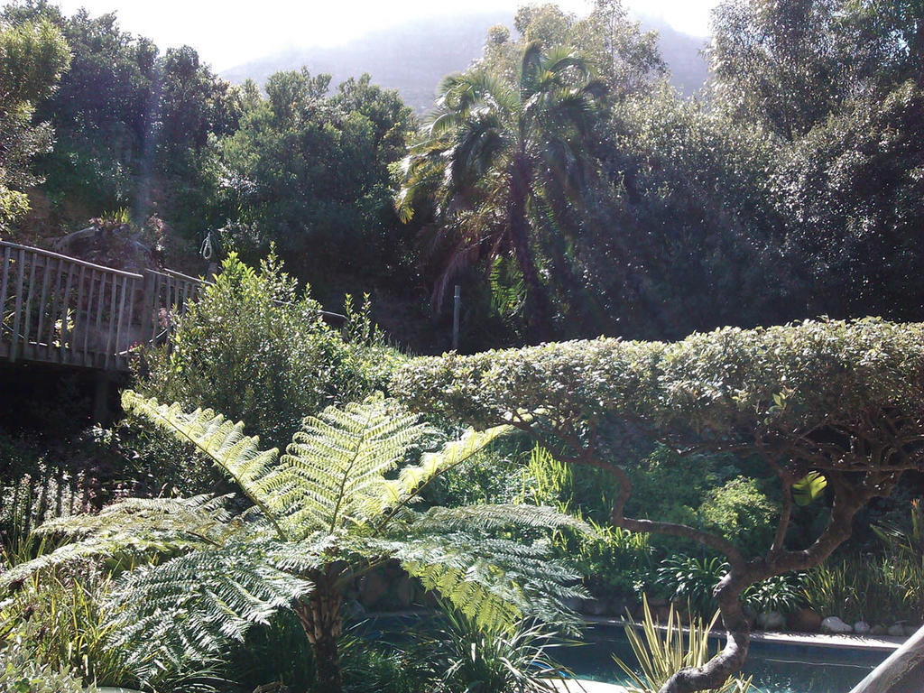 Hout Bay Hideaway Hotel Room photo